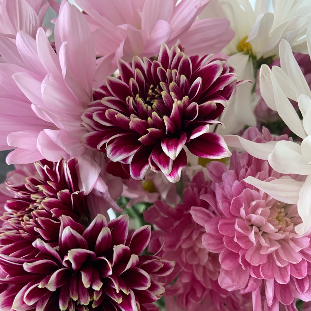 Meet your Posher, Danielle